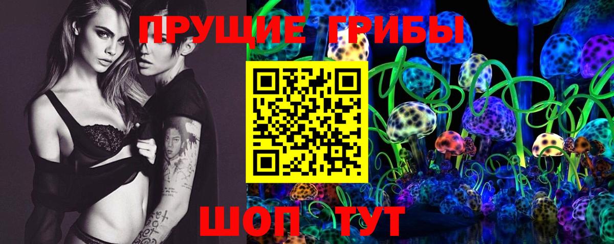 Псилоцибиновые грибы Cubensis  Псилоцибиновые грибы прущие грибы  Горно-Алтайск  Вход с VPN 